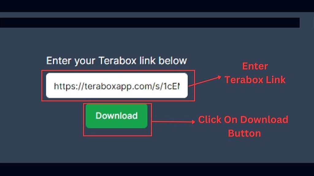 terabox-downloader-step-1